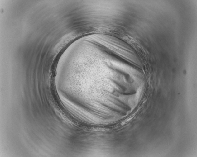 X0000088900242200706291511