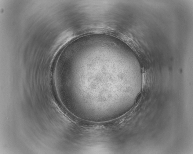 X0000088900243200706291511