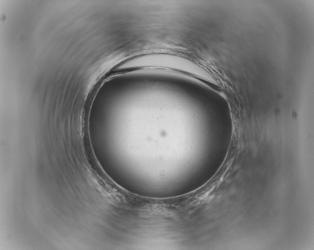 X0000088900244200706291511