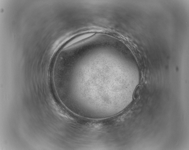 X0000088900247200706291511