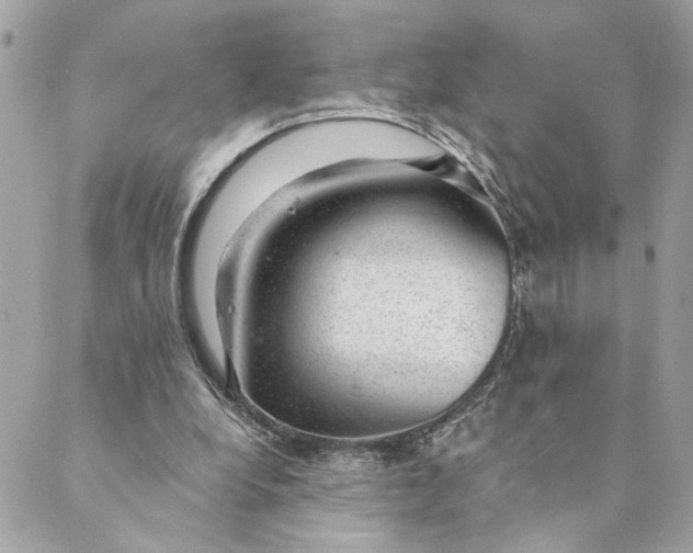 X0000088900248200706291511