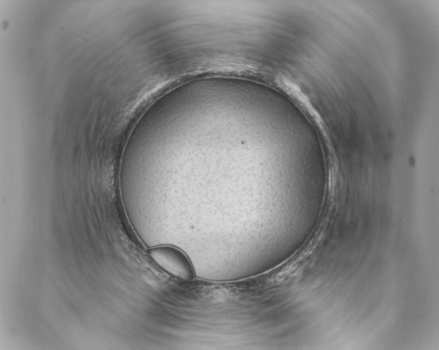 X0000088900249200706291511