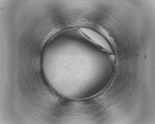 X0000088900250200706291511