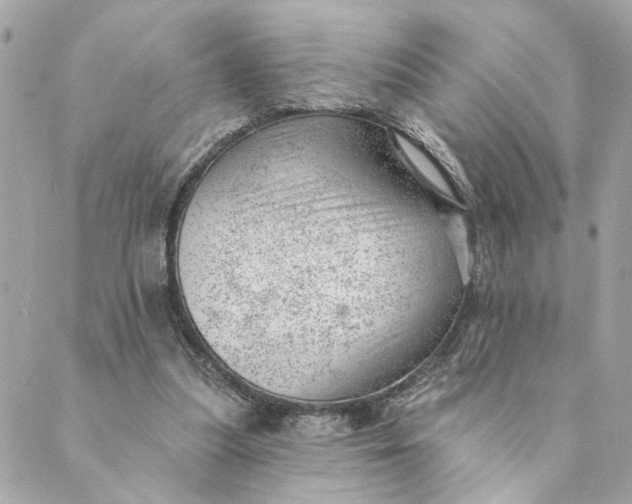 X0000088900251200706291511