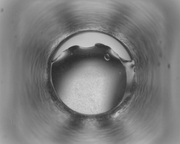 X0000088900252200706291512