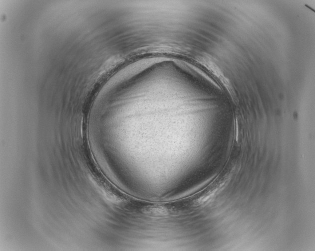 X0000088900253200706291512