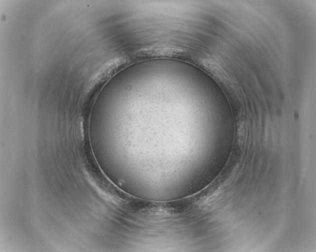 X0000088900254200706291512