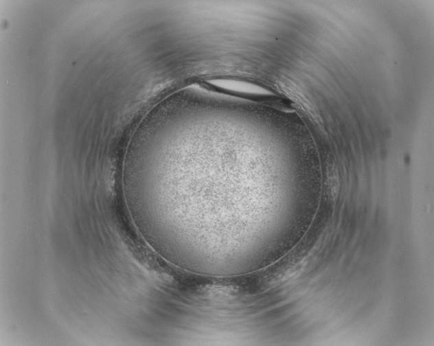 X0000088900255200706291512