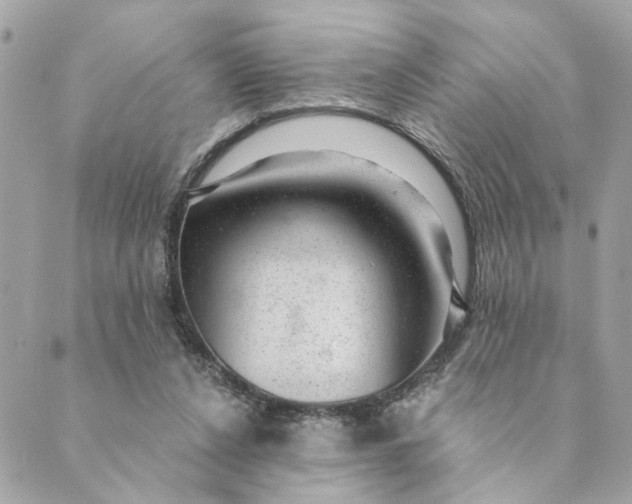 X0000088900256200706291512