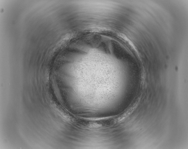 X0000088900257200706291512