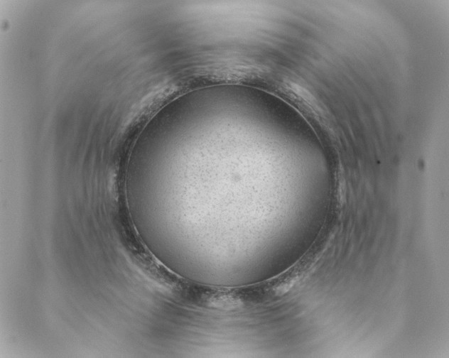 X0000088900258200706291512