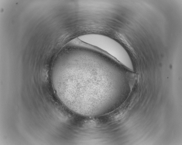 X0000088900259200706291512