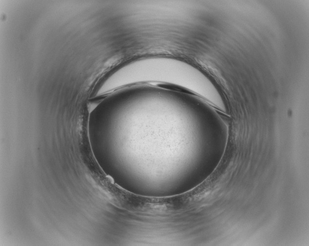 X0000088900260200706291512