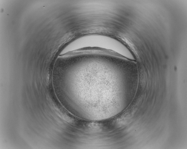 X0000088900261200706291512