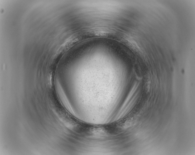 X0000088900262200706291512