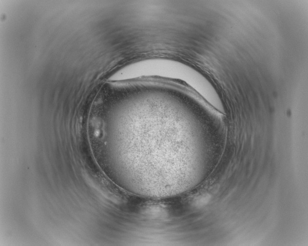 X0000088900263200706291512