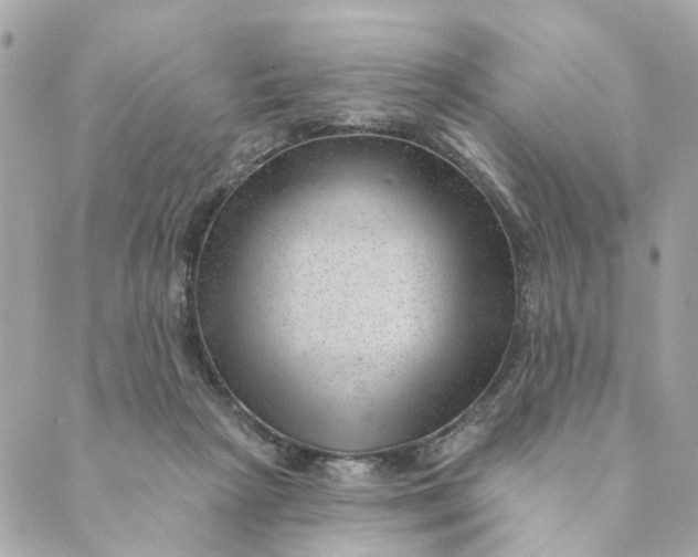 X0000088900265200706291512