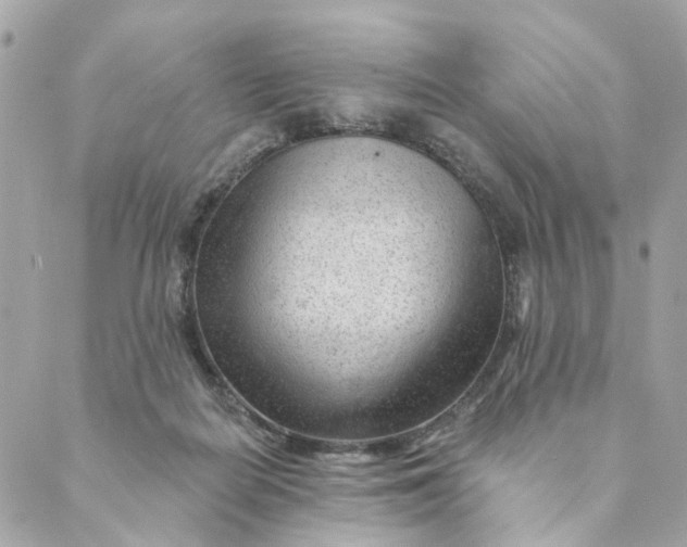 X0000088900266200706291512