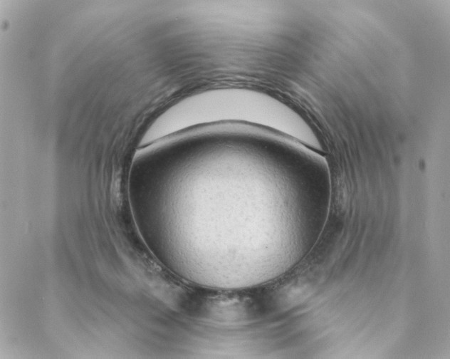 X0000088900267200706291512