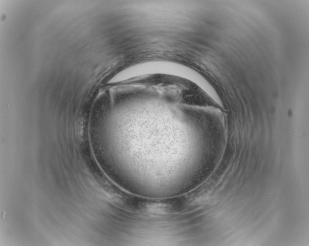 X0000088900268200706291512