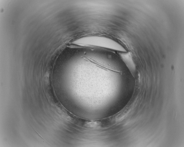 X0000088900269200706291512