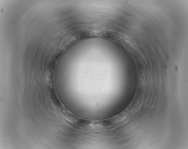 X0000088900270200706291512