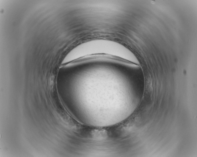 X0000088900271200706291512