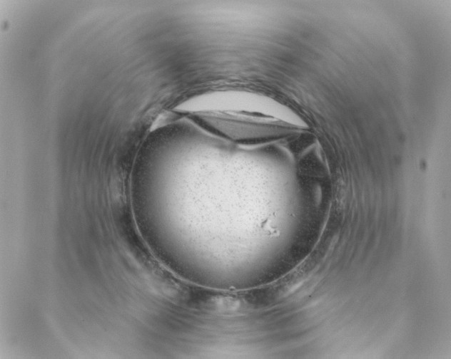 X0000088900272200706291512