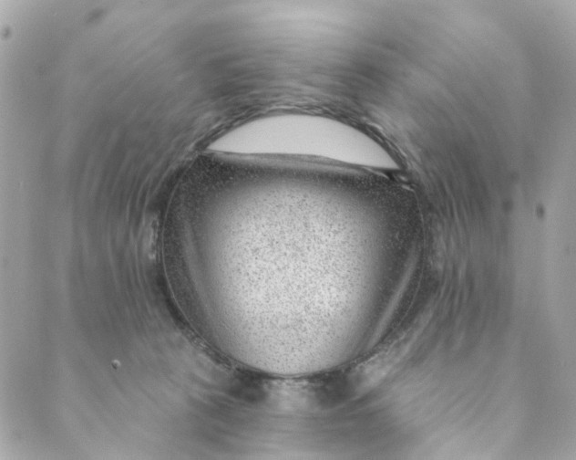 X0000088900273200706291512