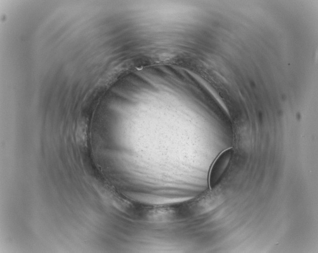 X0000088900274200706291512