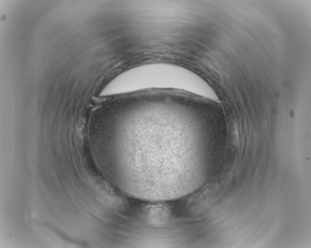 X0000088900275200706291512