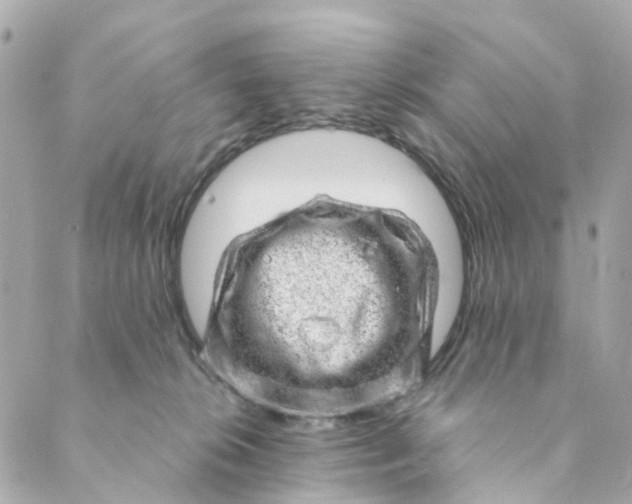 X0000088900276200706291512