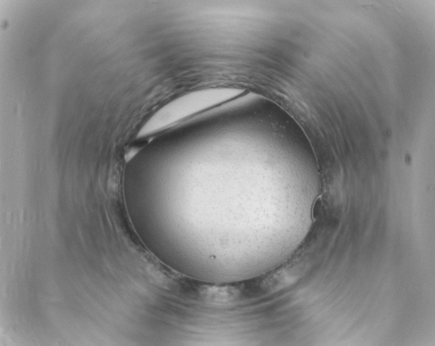 X0000088900277200706291512