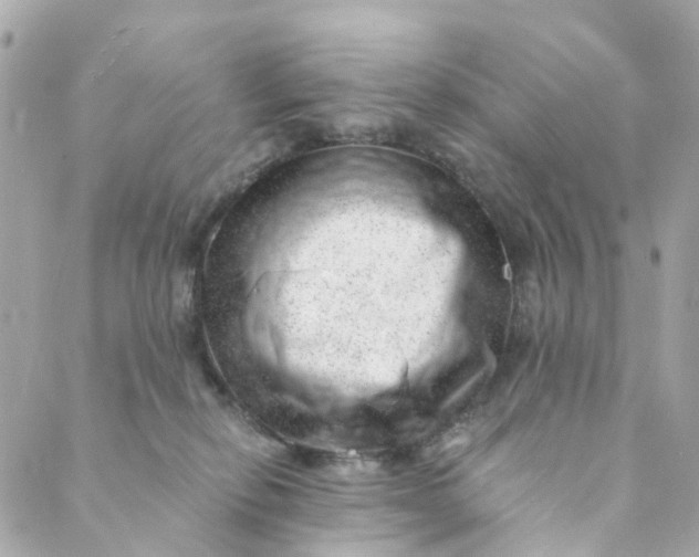 X0000088900278200706291512