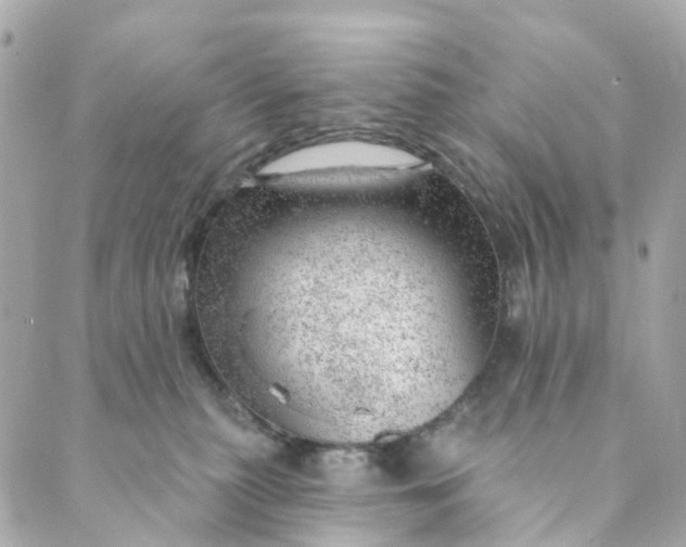 X0000088900279200706291512