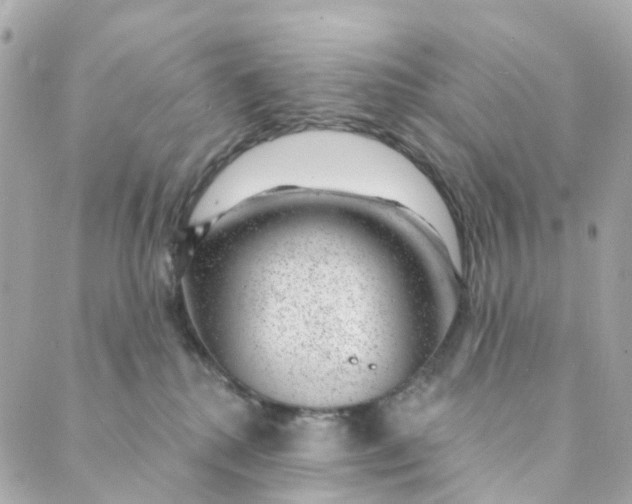 X0000088900280200706291512