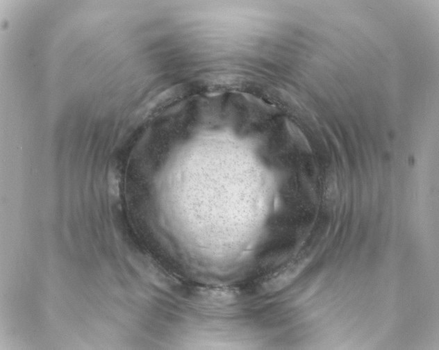 X0000088900282200706291512