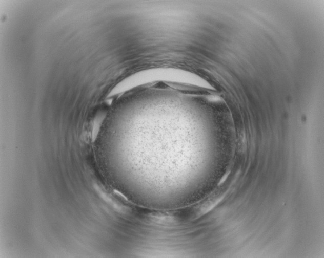 X0000088900284200706291512