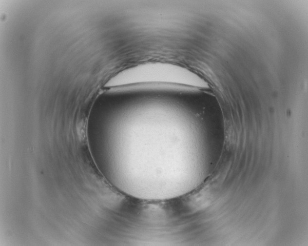 X0000088900285200706291512