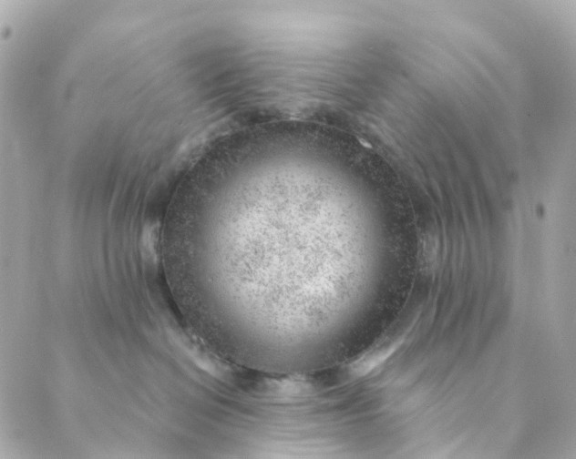 X0000088900286200706291512