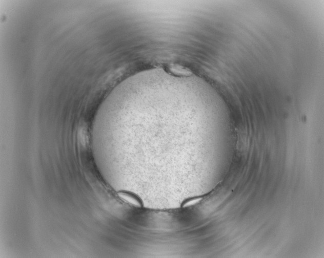 X0000088900287200706291512