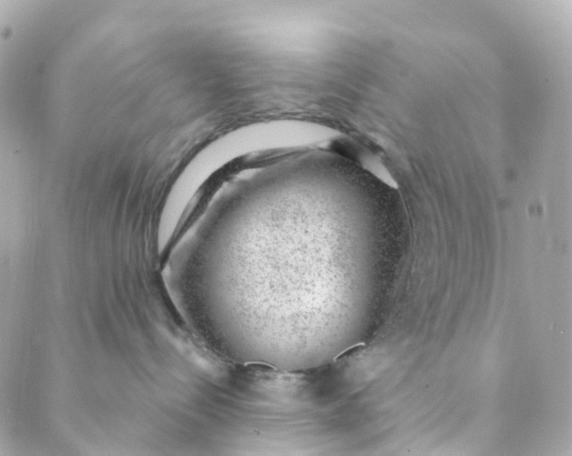 X0000088900288200706291512