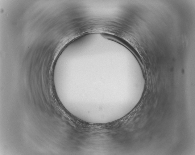 X0000088900289200706291511