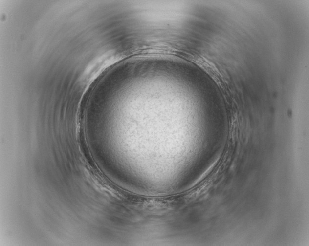 X0000088900290200706291511