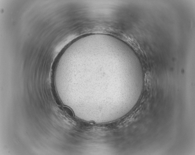 X0000088900292200706291511