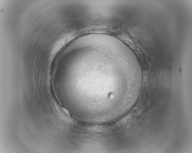 X0000088900293200706291511