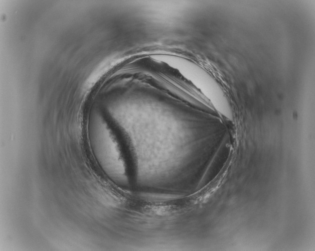 X0000088900295200706291511