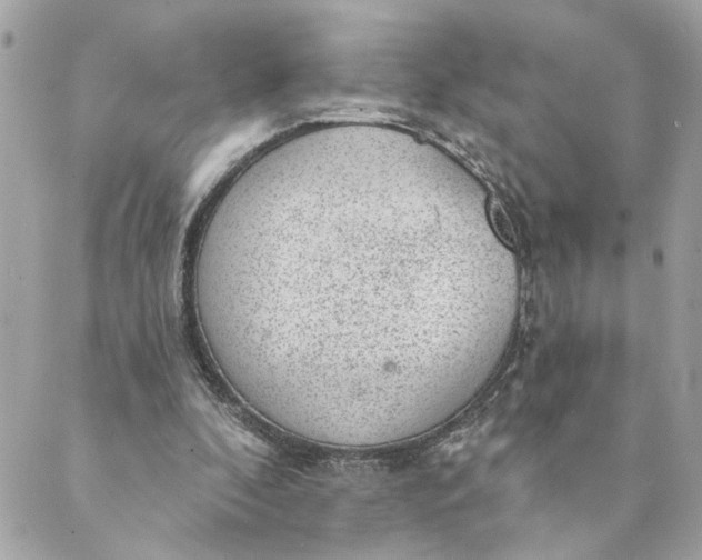 X0000088900296200706291511