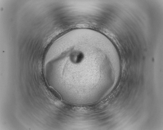 X0000088900297200706291511