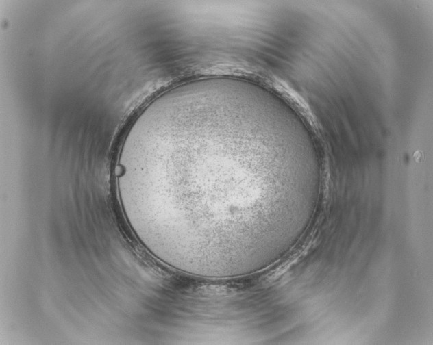 X0000088900298200706291511